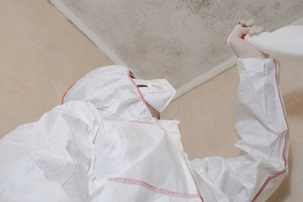 Best Post-Flood Mold Remediation in Bonney Lake, WA